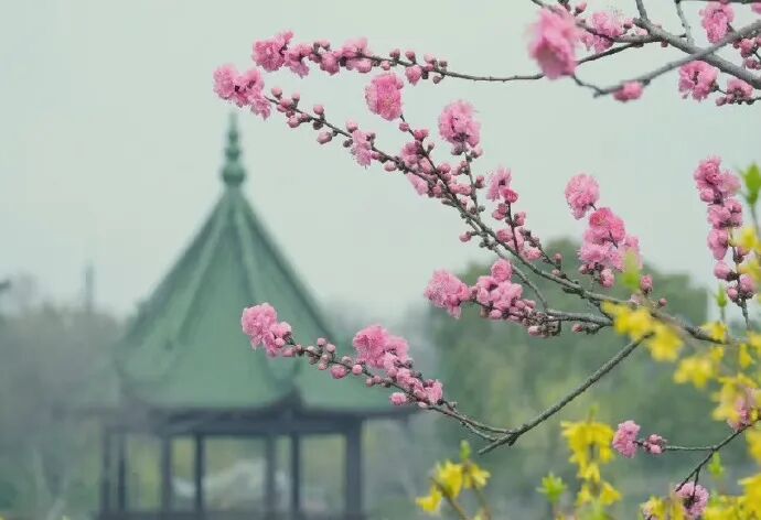学会相处之道，才能达到理想生活
