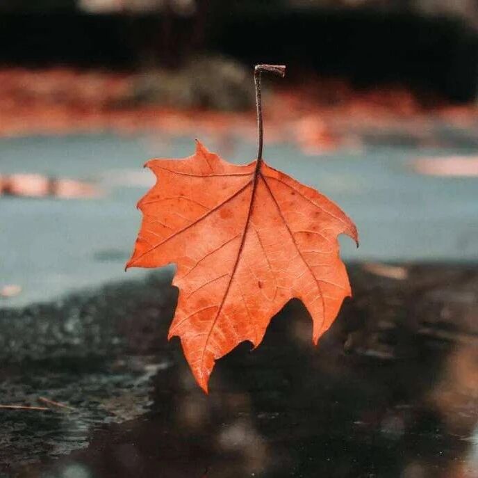 有人懂，就是幸福