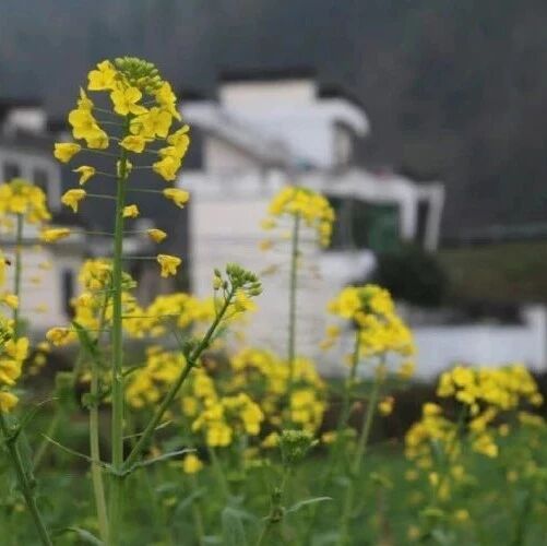 心烦的时候，记住这三句话