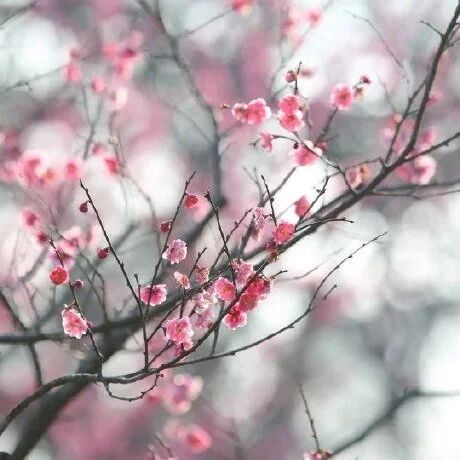 把握好人生四“量”，是一辈子的修行