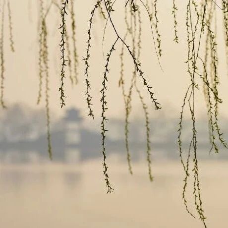 余生，好好经营自己