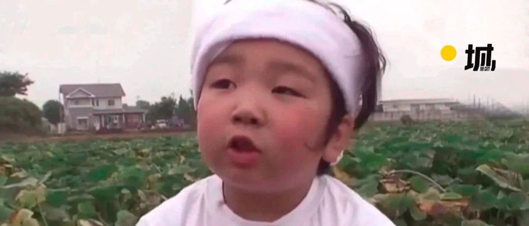 12年前梦想当农民的6岁日本男孩,现在怎么样了……