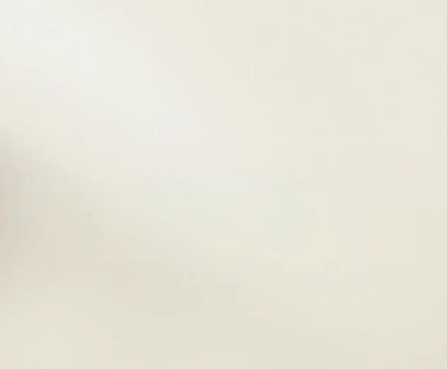 LGHausys墙纸图片  PET肤感膜二代产品图_19