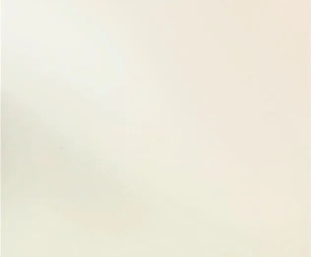 LGHausys墙纸图片  PET肤感膜二代产品图_31