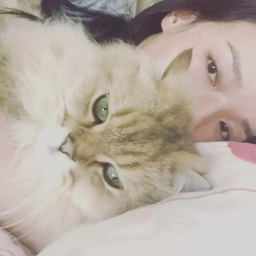 舒淇:＂我对猫严重过敏,但我坚持养猫!＂