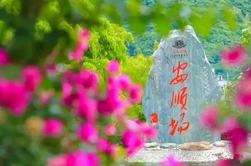 网红城市卡位赛 | "种草"雅安网红气质小镇,等你来"拔