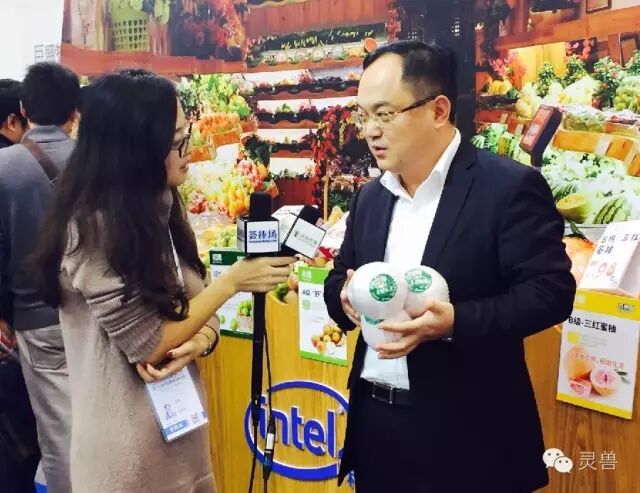 【灵兽视频】果多美董事总经理张云根：月均22.7次极致周转率，零售的核心在于供应链整合