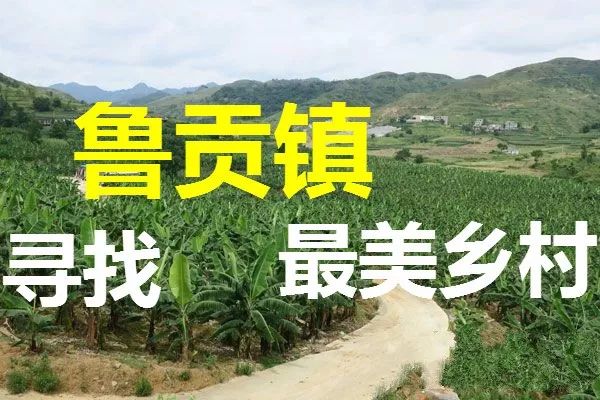 一公顷等于多少亩?一平方公里等于多少亩?