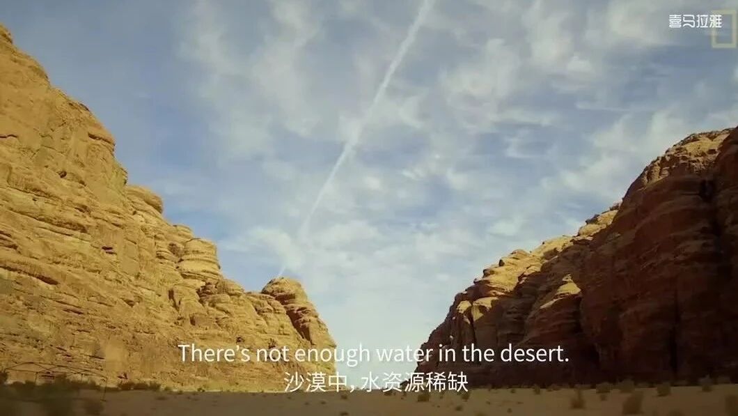 国家地理双语｜小探险家第4集：骆驼和仙人掌⭐20集最适合孩子看的科普启蒙纪录片，英语学习听力的好资源！（直接观看）-4