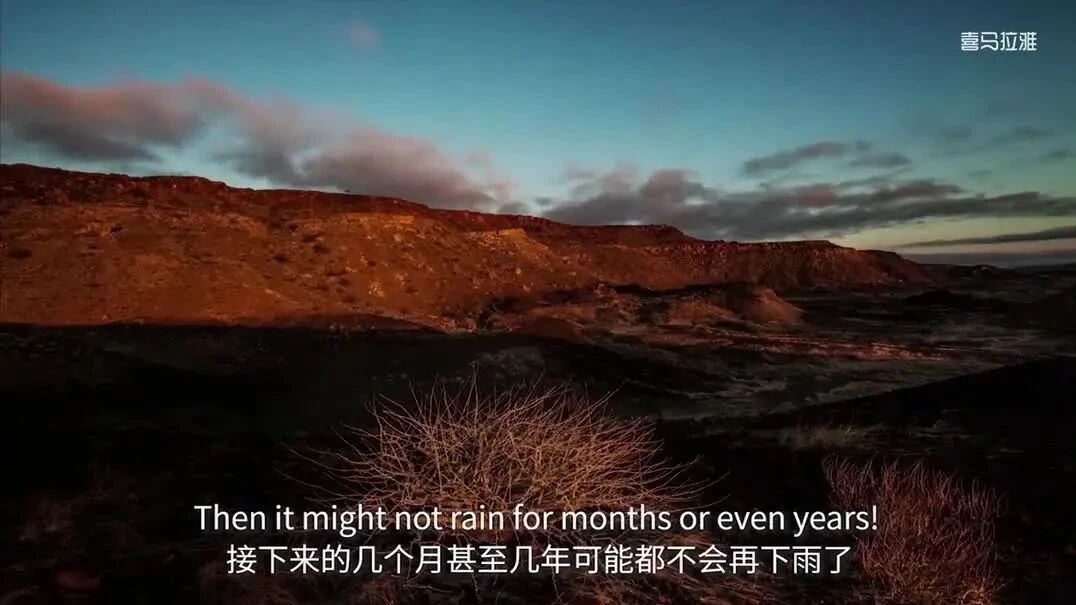 国家地理双语｜小探险家第3集：沙漠⭐20集最适合孩子看的科普启蒙纪录片，英语学习听力的好资源！（直接观看）-3