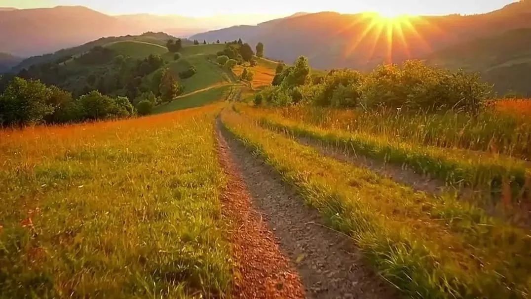 收录于合集⭐精选十首世界名曲，祝您五一假期快乐！