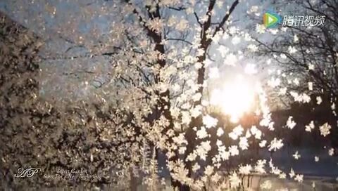 2023《新的开始》祝您新年快乐！