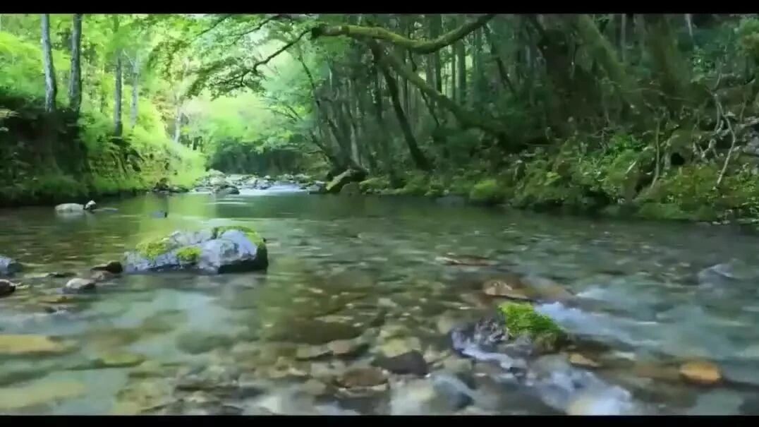 收录于合集⭐周五，祝福！