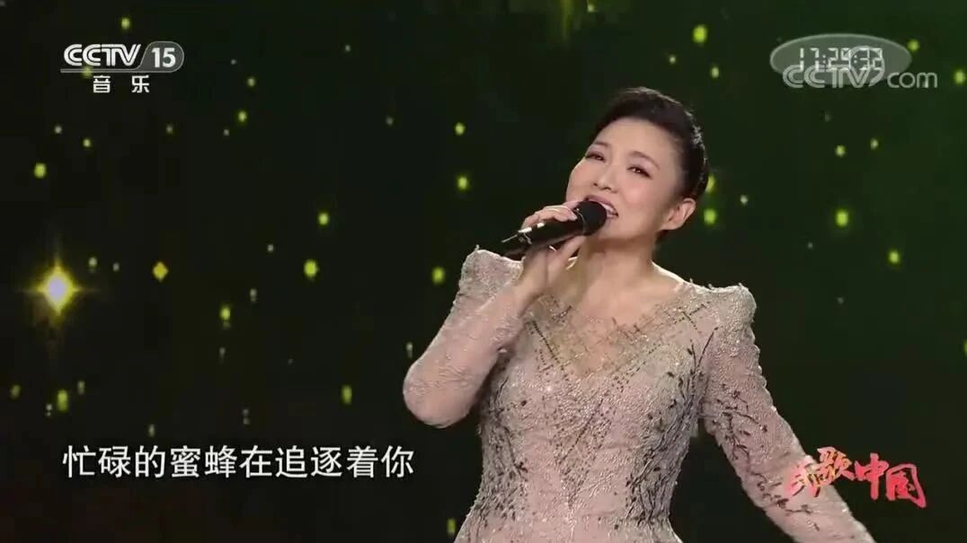 王莉 演唱经典歌曲《春之歌》经典如歌！