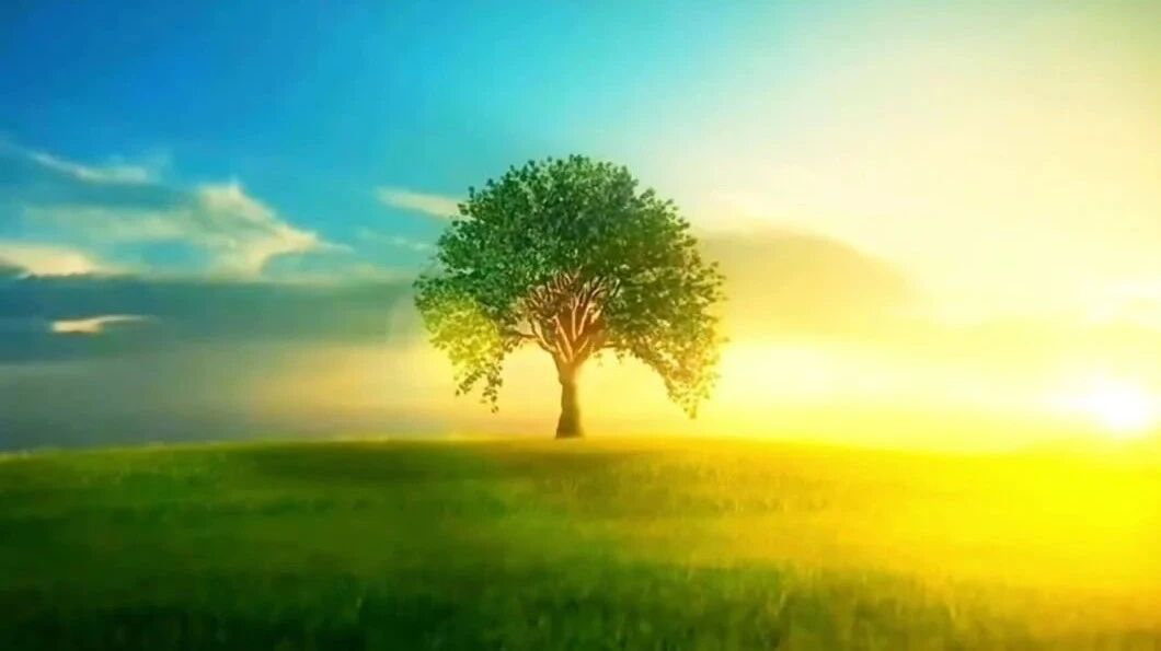 儿歌《小树苗》送天下人 愿童心不泯，节日快乐！