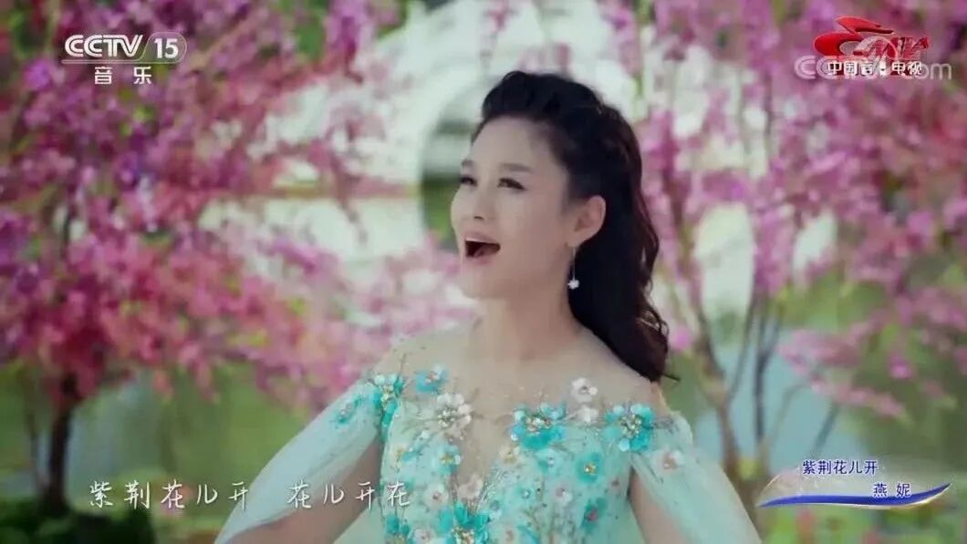 收录于合集⭐燕妮《紫荆花儿开》歌声温婉轻柔，沁入心扉