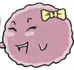 【怀孕】优质卵子是这样炼成的-怀孕期