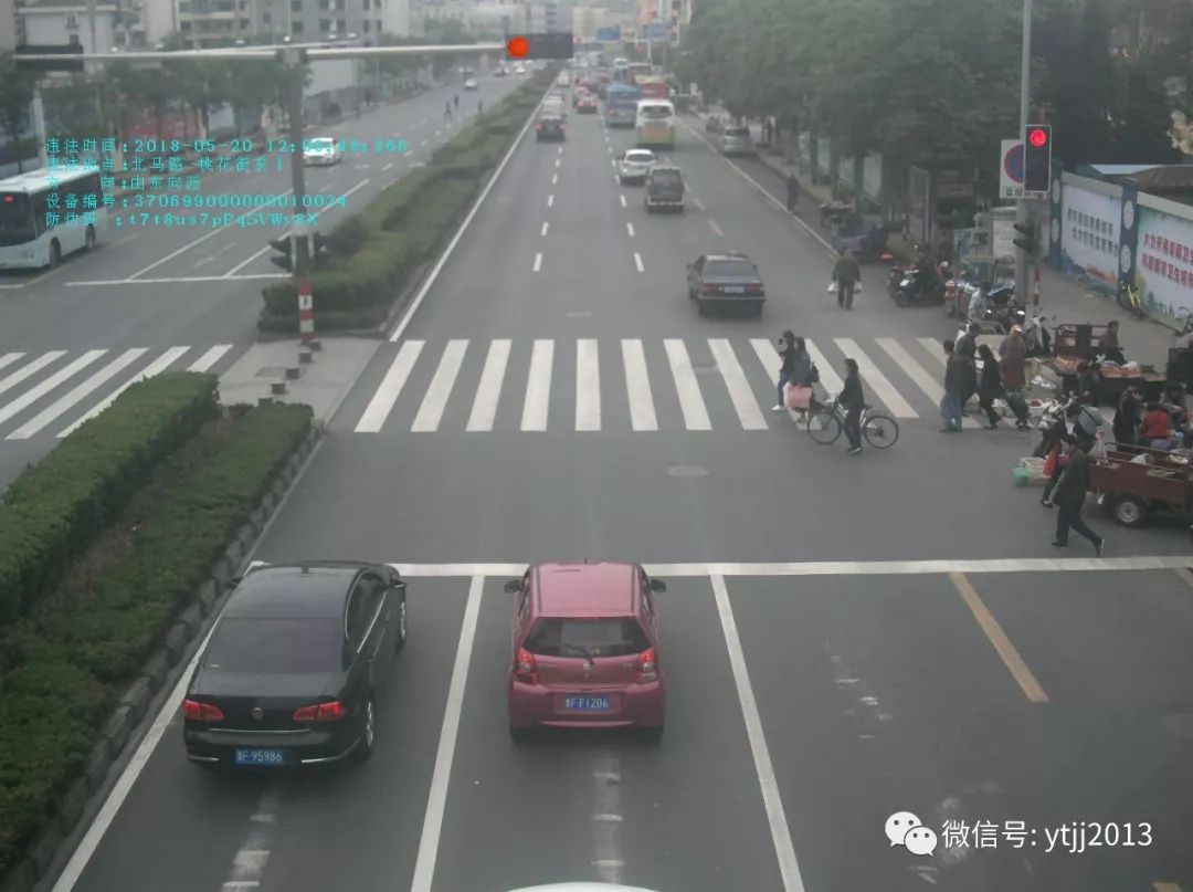 烟台北马路—桃花街 这些车辆闯红灯被曝光