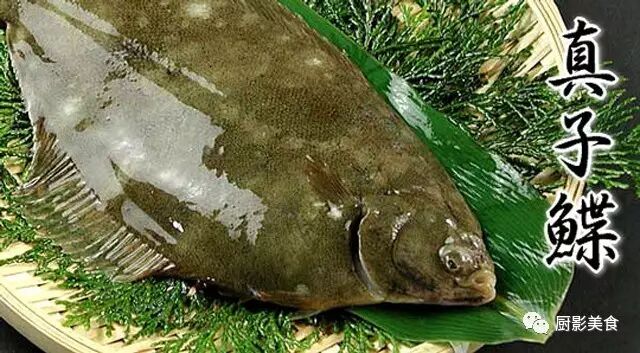 日本冬季最好吃的鱼类大全 自由微信 Freewechat