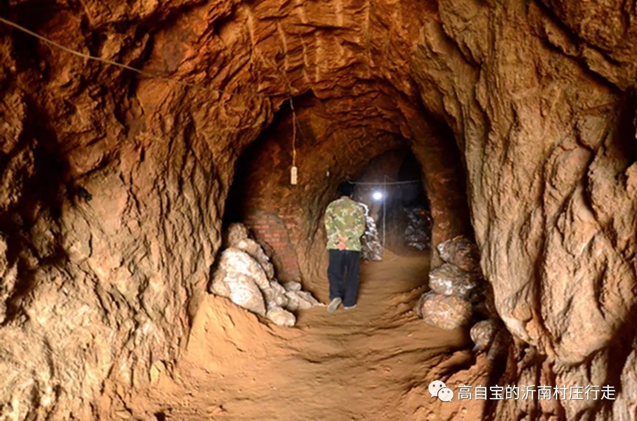 这姜窖子挖在砂岩山里,不用做支撑,牢固的很.