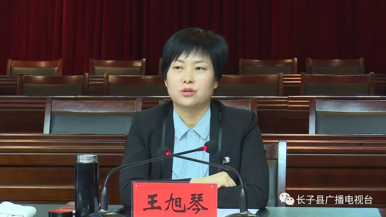 县领导王旭琴,吴斌,王斌,杜树青,申丽光,县长助理,民政局长王忠玲