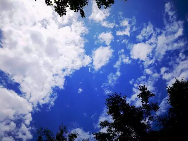 20170601113621_8yh9fl14a8.png?v=1762064199866