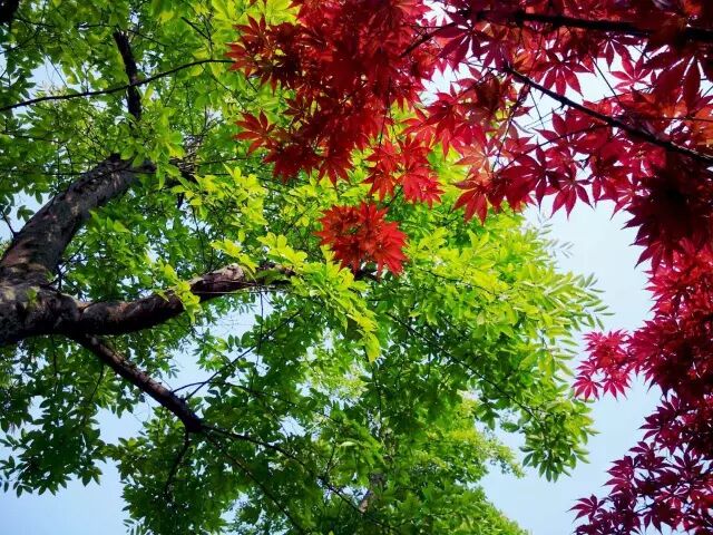 20170601113621_ad30skoa2n.png?v=1762064199866