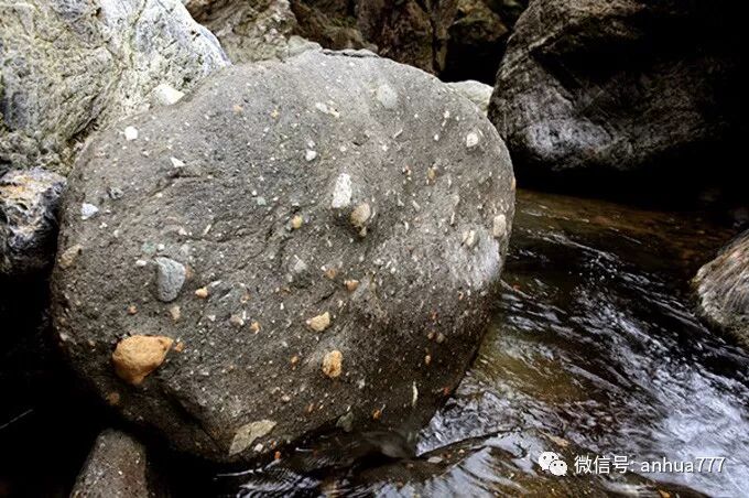 一首童谣唱安化黑茶的特色【完整版】【千古流传、整理成册】