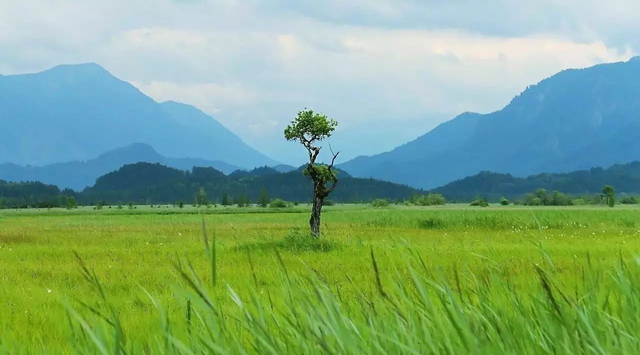 纯音乐 |《故乡的原风景》陶笛之音涤尘念,梦中故乡忆亲人