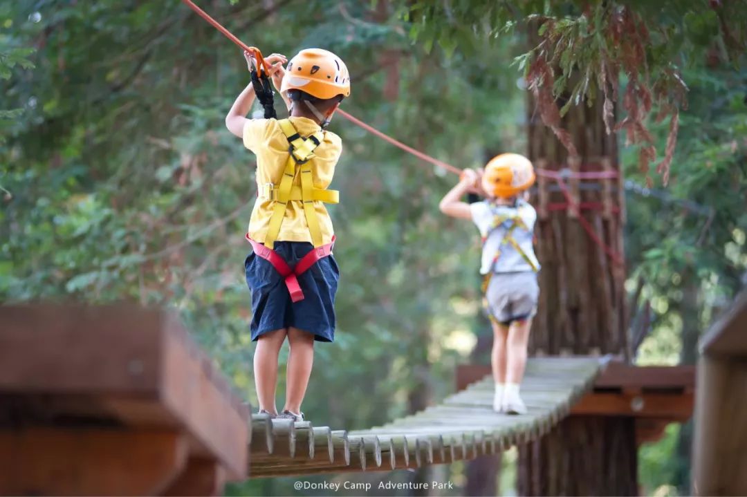 千岛湖驴营地探险乐园donkeycampadventurepark|探索.