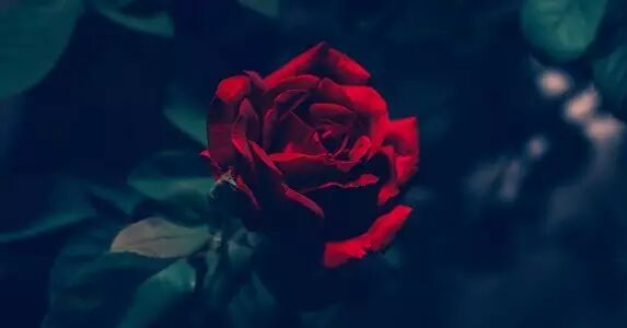 我怀孕了,他却瞒着我企图离婚-怀孕期