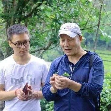肖雨:我为什么喜爱“普洱茶”