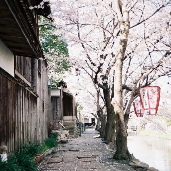 广西中职学校推荐医学教师-中职有哪些专业就业前景好-中专学校读什么专业容易赚钱