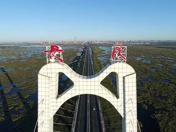 大庆地标性建筑——龙凤湿地大桥