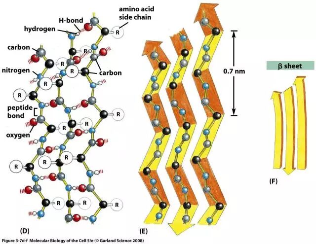 Genes to Cells，最艺术的科学杂志！