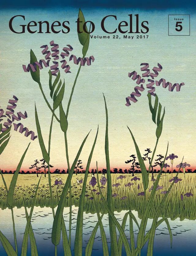 Genes to Cells，最艺术的科学杂志！