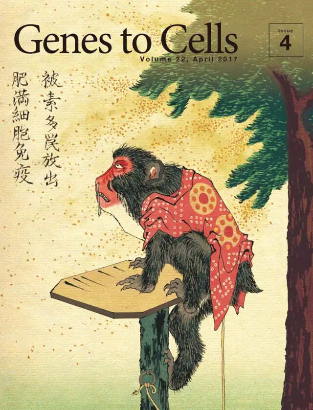 Genes to Cells，最艺术的科学杂志！
