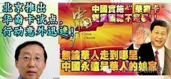 中国试行华裔卡