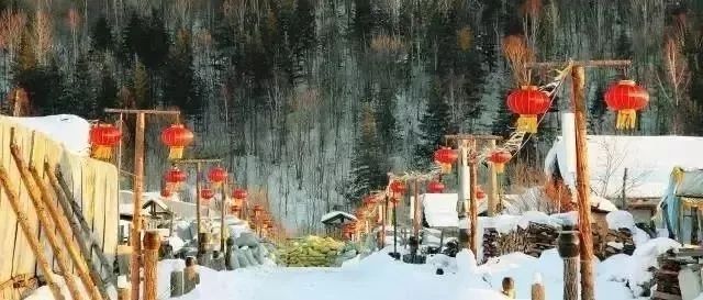 吉林雪村的冬天竟然这么“靓”......