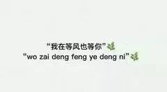 我在等风也等你(现言)