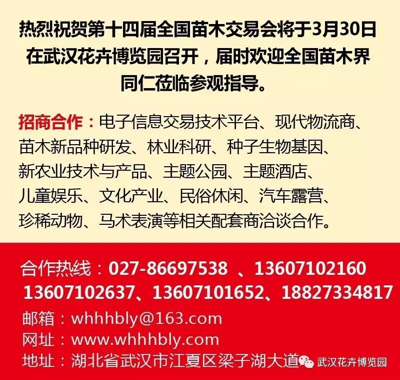 2017年4月1日举办湖北省盆景拍卖交易大会