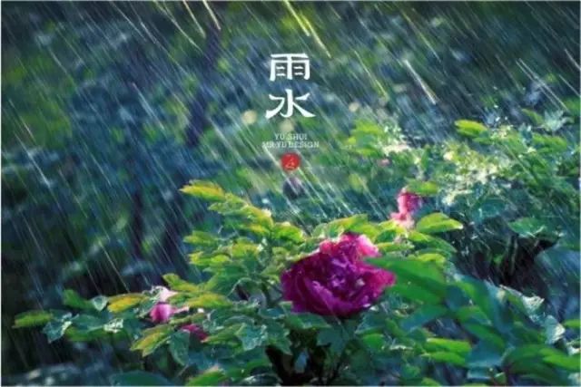 02月19日 朋友,雨水节气到了, 用雨丝编织幸福画卷, 用雨点书写快乐