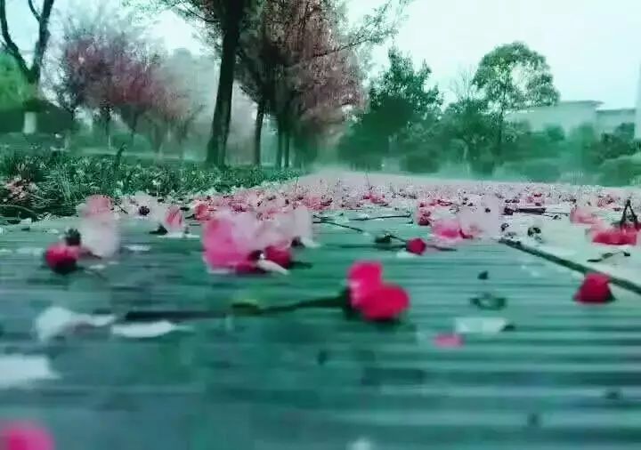 美途正是曲师好风景落花时节又逢君