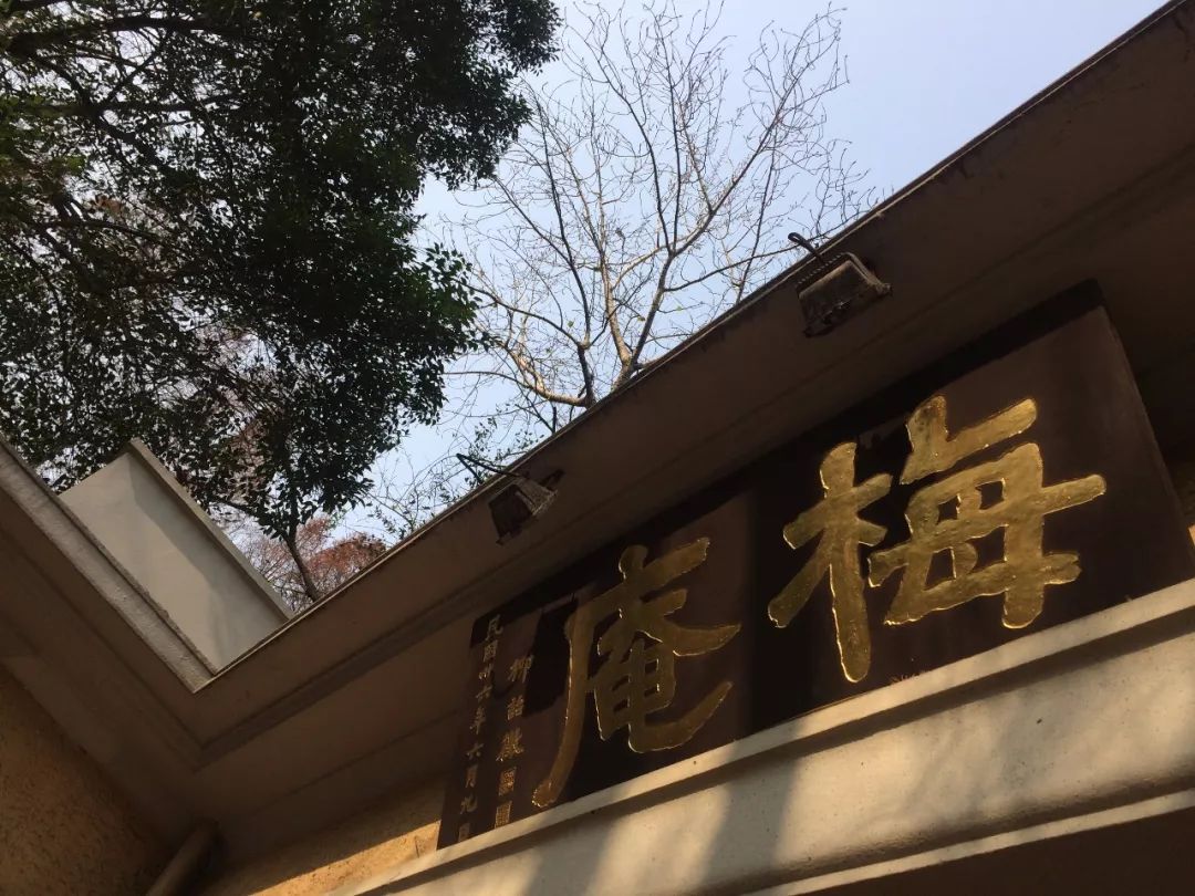 梅庵派古琴艺术传承系列培训班招生