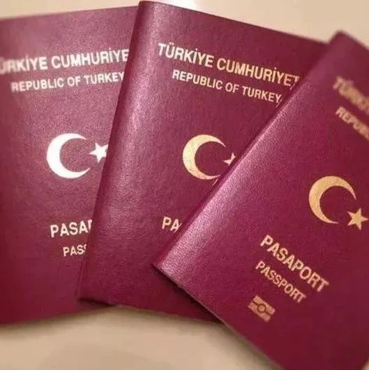 一篇解决对土耳其护照的诸多疑问！