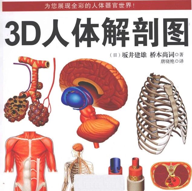 最新版 3d人体解剖图 临床在线 二十次幂
