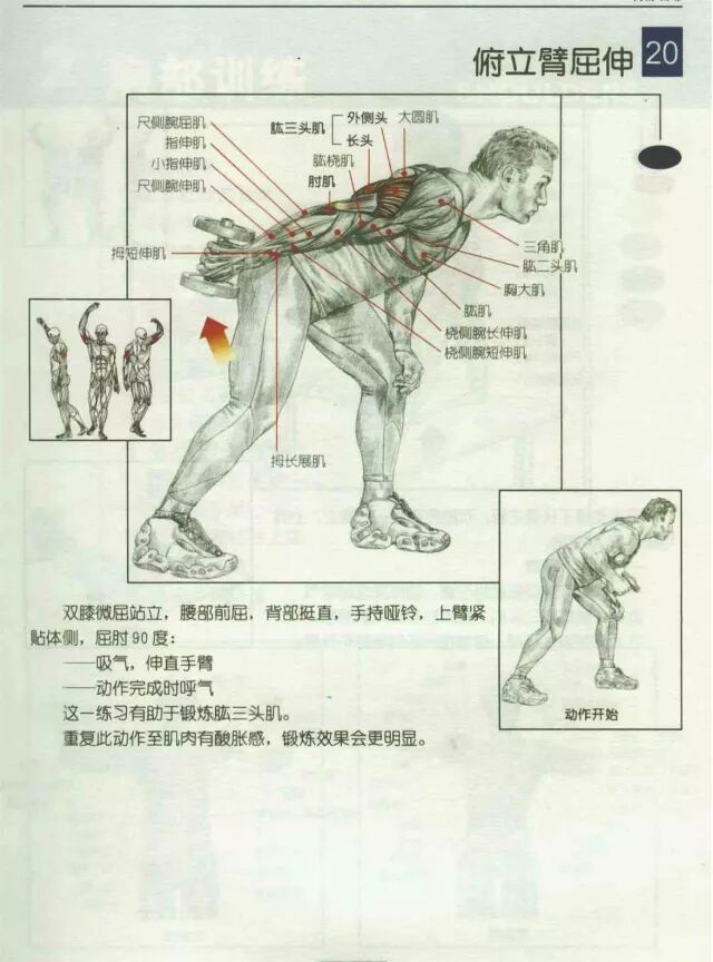 21.仰姿反屈伸