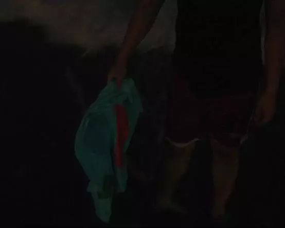 实验