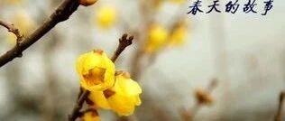 杨子作文好句锦集