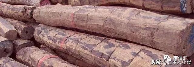 大红酸枝、交趾黄檀的最全介绍
